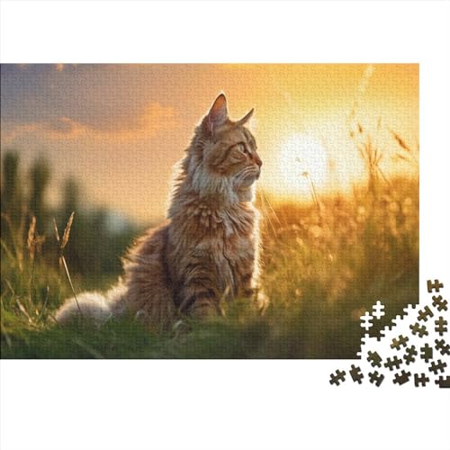 Cute Cat 1000 Teile, Tolles Herausforderndes Sunset Pets Puzzle, Geschicklichkeitsspiel Für Die Ganze Familie, Erwachsenenpuzzle 1000pcs (75x50cm) von TOYOCC