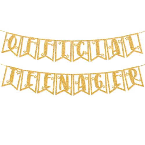 TOYVENTURES 13 Geburtstag Dekorationen - Offizielle Teenager Glitzer Wimpelkette Banner mit Zahl 13 Girlande | Partyzubehör Ideen Geschenke für Mädchen Jungen | Vorbespanntes wiederverwendbares TOYVENTURES 13 Geburtstag Dekorationen - Offizielle Teenager Glitzer Wimpelkette Banner mit Zahl 13 Girlande | Partyzubehör Ideen Geschenke für Mädchen Jungen | Vorbespanntes wiederverwendbares von TOYVENTURES