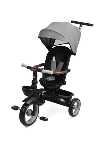 TOYZ - 3-Rad-Fahrrad Kinder Saber - Kleinkind-Fahrrad für Jungen und Mädchen - Kleinkind-Dreirad mit Eltern-Schiebegriff - Trike mit Rückenlehne & Sicherheitsgurt - 51x104x101cm - Grau TOYZ - 3-Rad-Fahrrad Kinder Saber - Kleinkind-Fahrrad für Jungen und Mädchen - Kleinkind-Dreirad mit Eltern-Schiebegriff - Trike mit Rückenlehne & Sicherheitsgurt - 51x104x101cm - Grau von TOYZ by CARETERO