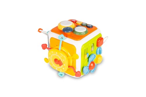 TOYZ - Motorikwürfel Aktivitätswürfel - Montessori Steckwürfel ab 18 Monaten - Lernspielzeug Motorikwürfel - Montessori Spielzeug für Kleinkinder Baby - Multifunktions-Spielwürfel von TOYZ by CARETERO