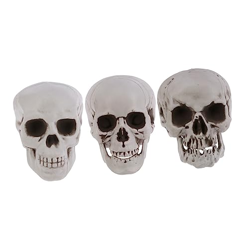 TOYZFRIENDY 3 Stück Totenkopf Requisiten Skelett Mini Totenköpfe Halloween Skelett Dekoration Realistisch Für Den Innenbereich Gruselige Dekorationen Gefälschte von TOYZFRIENDY