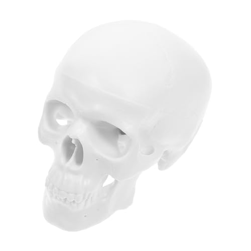 TOYZFRIENDY Anatomisches Mini schädelmodell mit Abnehmbarem Unterkiefer und Schädeldecke Realistisches Kleines Menschliches Skelettmodell für Studium Skizzieren und Dekoration Präzise Details TOYZFRIENDY Anatomisches Mini schädelmodell mit Abnehmbarem Unterkiefer und Schädeldecke Realistisches Kleines Menschliches Skelettmodell für Studium Skizzieren und Dekoration Präzise Details von TOYZFRIENDY
