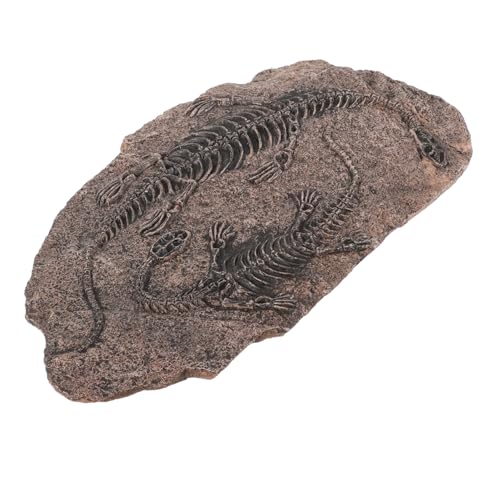 TOYZFRIENDY Dinosaurier Skelett Resin Skulptur Wanddeko Paläontologie Lernspielzeug für Erwachsene Naturgetreues Dinosaurier Kopf Modell Lehrreiches Fossilien Ornament fürs Zuhause TOYZFRIENDY Dinosaurier Skelett Resin Skulptur Wanddeko Paläontologie Lernspielzeug für Erwachsene Naturgetreues Dinosaurier Kopf Modell Lehrreiches Fossilien Ornament fürs Zuhause von TOYZFRIENDY