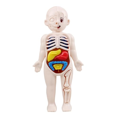 TOYZFRIENDY Menschliche Organe Puzzle Lernspielzeug für Anatomisches Körpermodell mit Teilen Fördert Hand Auge Koordination Gedächtnis und Kognitive Fähigkeiten Lehrmittel für Frühe Bildung TOYZFRIENDY Menschliche Organe Puzzle Lernspielzeug für Anatomisches Körpermodell mit Teilen Fördert Hand Auge Koordination Gedächtnis und Kognitive Fähigkeiten Lehrmittel für Frühe Bildung von TOYZFRIENDY