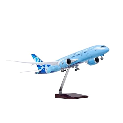 Flugzeug kleine Repliken 47 cm Für B787 Etihad Harz Druckguss Flugzeug Modell Mit LED Licht Für Sammlung Fertigmodelle(with Light) von TQMEAD