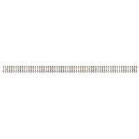 TRIX 14502 N Gerades Gleis mit Betonschwellen Länge 312,6 mm TRIX 14502 N Gerades Gleis mit Betonschwellen Länge 312,6 mm von TRIX