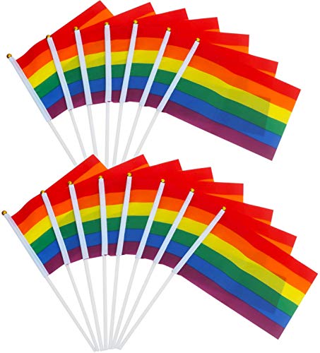TRIXES 15 Rainbow Handfähnchen zum Schwenken - Stabflaggen - Mehrfarbige Mini-Handflaggen für LGBT-Gay-Pride-Veranstaltungen - Festivalzubehör - Kleine Regenbogenflaggen 21 x 14 cm auf 30 cm Stangen von TRIXES