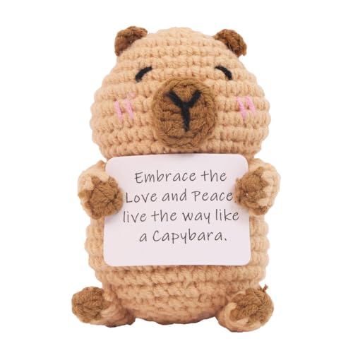 TRNOLPX Gestrickte Puppe Kartoffel，Positive Potato Pocket Hug Geschenk， Lustige Positive Kartoffel，Kreative Strickwolle Puppe Mit Positiver Energiekarte，Geschenke FüR Frauen, Aufmunterung Geschenke von TRNOLPX