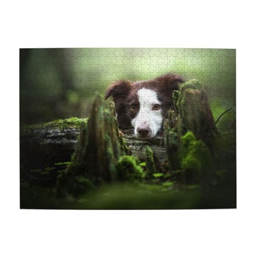Puzzles, Holzpuzzles für Erwachsene, anspruchsvolles Puzzle, 500 Teile, Bilderpuzzle,Border Collie Forest Stone Süße braune Hunde Haustiere von TROONZ