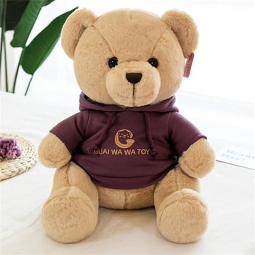 Teddy Bear Plüschtier, Bear Kuscheltier, Weich Teddy Bear mit Sweatshirt Stofftier Kinderspielzeug Geschenk (Violett,30cm) von TROYSINC