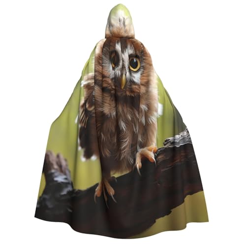 TRSGKSQP Echte süße Eulen Erwachsene Kapuzenumhang Halloween Umhang lange Kapuze Robe Umhang Cosplay Kostüm von TRSGKSQP