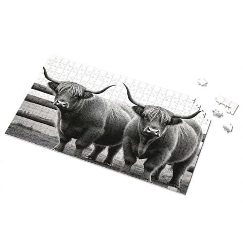 Geschenke für 5-jährige Mädchen, Hochlandrinder: Majestätische Schönheit in Schwarz-Weiß-Bilder-Puzzle, Punkt-It-Spiel für Kinder (300 Teile) von TSGB