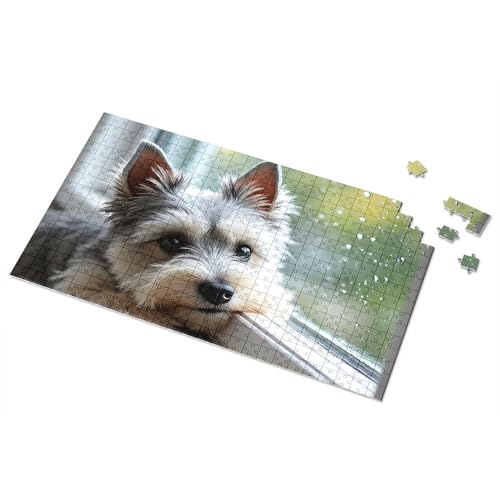 Geschenke für 5-jährige Mädchen, bezaubernder Hund am regnerischen Fenster, Puzzle, Punkt-It-Spiel für Kinder (500 Stück) von TSGB