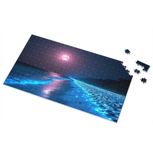Geschenke für 5-jährige Mädchen, magischer Nachtstrand mit leuchtenden Lichtern, Bilder-Puzzle, Spot-It-Spiel für Kinder (500 Stück) von TSGB