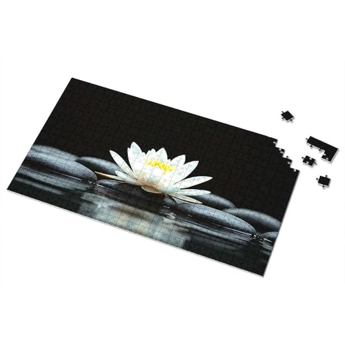 Geschenke für 5-jährige Mädchen, weißer Lotus auf schwarzen Steinen, Bilder-Puzzle, Punkt-It-Spiel für Kinder (1000 Stück) von TSGB