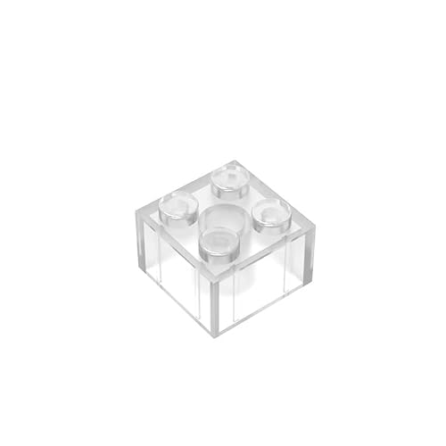Klassische Steine 2x2, 100 große Steine, kompatibel mit Lego und Pieces 3004, kreatives Spielset 100% kompatibel mit Allen großen Steinmarken, Farben:FullTransparency von TTEHGB TOY