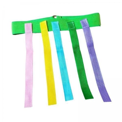 TTETTZ 2xPull Tail Spiel, Kinder Verfolgungsspiel, Team Spiel, Elastisches Band, Lernspielzeug Zum Greifen des Tai, für Jungen, Mädchen, Picknick, Camping, H TTETTZ 2xPull Tail Spiel, Kinder Verfolgungsspiel, Team Spiel, Elastisches Band, Lernspielzeug Zum Greifen des Tai, für Jungen, Mädchen, Picknick, Camping, H von TTETTZ