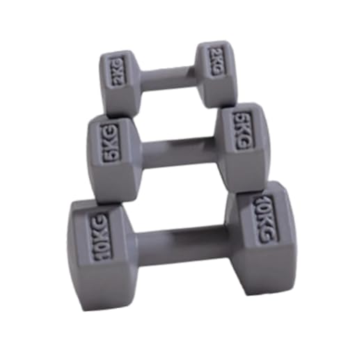 TTETTZ 3-teiliges Fitness-Spielset für Puppenhäuser, Hantel-Zubehör, Miniatur-Kettlebell für Kinder, Grau TTETTZ 3-teiliges Fitness-Spielset für Puppenhäuser, Hantel-Zubehör, Miniatur-Kettlebell für Kinder, Grau von TTETTZ