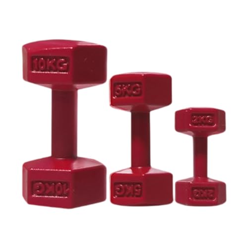TTETTZ 3-teiliges Fitness-Spielset für Puppenhäuser, Hantel-Zubehör, Miniatur-Kettlebell für Kinder, Rot TTETTZ 3-teiliges Fitness-Spielset für Puppenhäuser, Hantel-Zubehör, Miniatur-Kettlebell für Kinder, Rot von TTETTZ