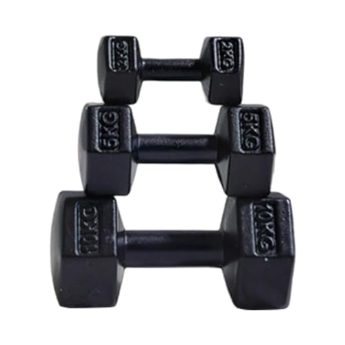 TTETTZ 3-teiliges Fitness-Spielset für Puppenhäuser, Hantel-Zubehör, Miniatur-Kettlebell für Kinder, Schwarz TTETTZ 3-teiliges Fitness-Spielset für Puppenhäuser, Hantel-Zubehör, Miniatur-Kettlebell für Kinder, Schwarz von TTETTZ
