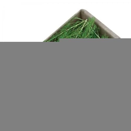TTETTZ 4X Miniatur Graslandschaft für Modellbau Und Garten TTETTZ 4X Miniatur Graslandschaft für Modellbau Und Garten von TTETTZ