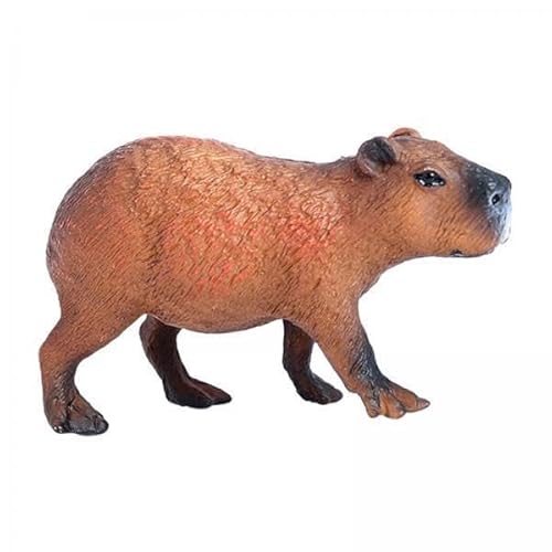 TTETTZ 5X Capybara Figuren Modell Tierfiguren Capybara Statue Pretend Figur Spielzeug für Party Spielzeug TTETTZ 5X Capybara Figuren Modell Tierfiguren Capybara Statue Pretend Figur Spielzeug für Party Spielzeug von TTETTZ