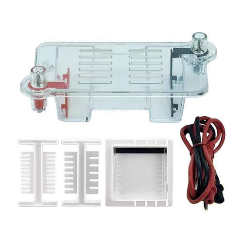 TTETTZ Elektrophorese Apparat Tank Projekte Lehrmittel für Die High School TTETTZ Elektrophorese Apparat Tank Projekte Lehrmittel für Die High School von TTETTZ
