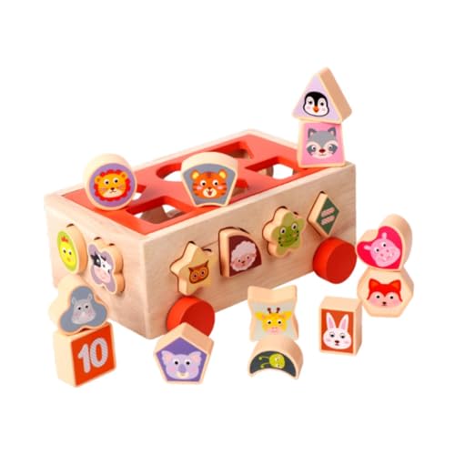 TTETTZ Form Sorter Lernspielzeug Vorschule Lernspielzeug für Jungen Mädchen Babygeschenke von TTETTZ