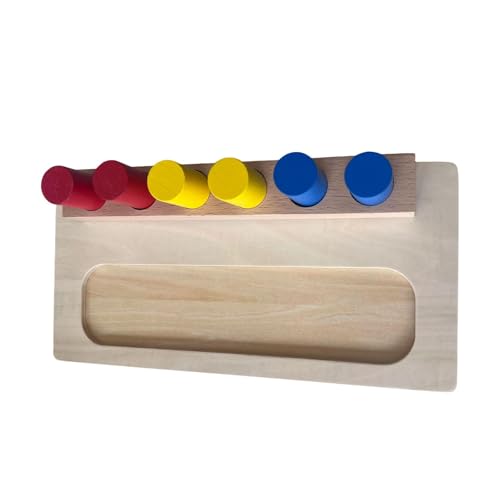 TTETTZ Holzstiftspielzeug, Farbiger Zylinder Und Sockel, Farbenfrohes Sensorisches Spielzeug für Die Frühe Lernphase von TTETTZ