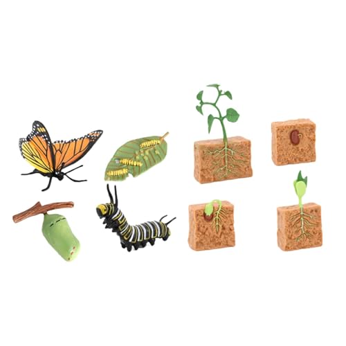 TTETTZ Lebenszyklus Figuren Spielzeugset Butterfly Und Bohnenpflanzen Lifecycle Collection TTETTZ Lebenszyklus Figuren Spielzeugset Butterfly Und Bohnenpflanzen Lifecycle Collection von TTETTZ