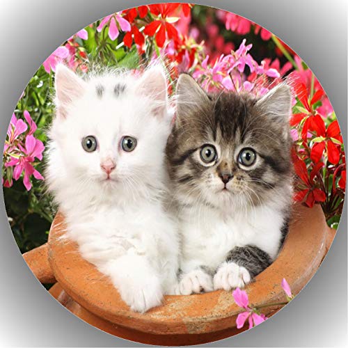 Shanrya Premium Esspapier Tortenaufleger Geburtstag Katze / Katzen AMA 16 (1 stück, braun) Shanrya Premium Esspapier Tortenaufleger Geburtstag Katze / Katzen AMA 16 (1 stück, braun) von Shanrya