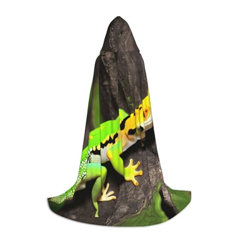 TTYDOKLA Umhang mit Kapuze und grünem Geckos-Druck, Zauberer- und Renaissance-Kostüm, Umhang mit Kapuze, für Rollenspiele und Partys TTYDOKLA Umhang mit Kapuze und grünem Geckos-Druck, Zauberer- und Renaissance-Kostüm, Umhang mit Kapuze, für Rollenspiele und Partys von TTYDOKLA