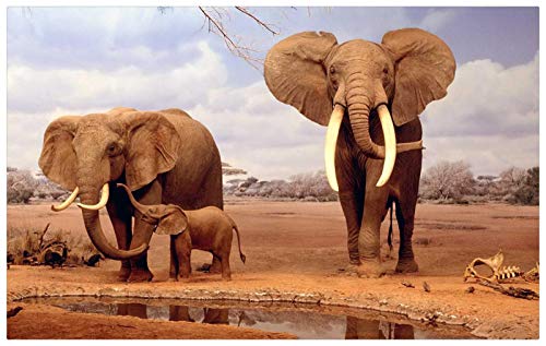 Puzzel Erwachsene 1500 Teile 3 Elefanten Am Ufer Der Wiese Familiensammlung Kunstwerk von TWYYDP