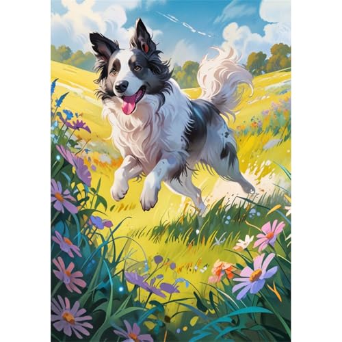 TWYYDP 1000 Teile Puzzle für Erwachsene,Border Collie Läuft und Spielt,Holzpuzzle,Spiele Zum Stressabbau TWYYDP 1000 Teile Puzzle für Erwachsene,Border Collie Läuft und Spielt,Holzpuzzle,Spiele Zum Stressabbau von TWYYDP