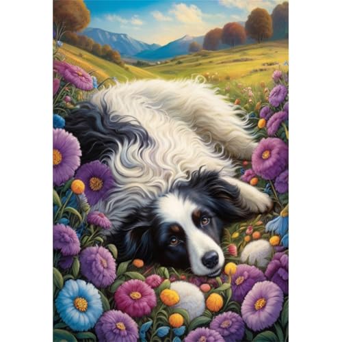 TWYYDP 1000 Teile Puzzle für Erwachsene,Collie-Landschaft Mit Blumen,Holzpuzzle,Spiele Zum Stressabbau TWYYDP 1000 Teile Puzzle für Erwachsene,Collie-Landschaft Mit Blumen,Holzpuzzle,Spiele Zum Stressabbau von TWYYDP