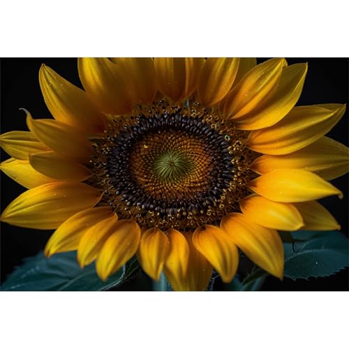 TWYYDP 1500 Teile Puzzle für Erwachsene,Sonnenblumenlandschaft,Holzpuzzle,Schwieriges Rätsel TWYYDP 1500 Teile Puzzle für Erwachsene,Sonnenblumenlandschaft,Holzpuzzle,Schwieriges Rätsel von TWYYDP