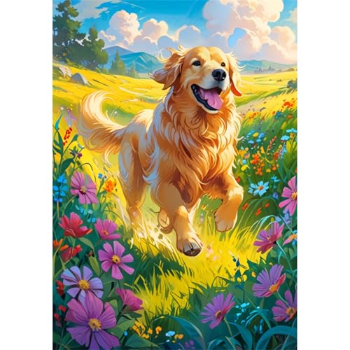 TWYYDP 520 Teile Puzzle für Erwachsene,Golden Retriever Hund Läuft Auf Dem Gras,Holzpuzzle,Lustige Spiele für Die Ganze Familie TWYYDP 520 Teile Puzzle für Erwachsene,Golden Retriever Hund Läuft Auf Dem Gras,Holzpuzzle,Lustige Spiele für Die Ganze Familie von TWYYDP