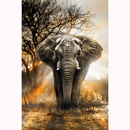 TWYYDP Holz Puzzle 1500 Teile Für Erwachsene,Wohnkultur Gemälde, Plakate - Elefant Im Wald TWYYDP Holz Puzzle 1500 Teile Für Erwachsene,Wohnkultur Gemälde, Plakate - Elefant Im Wald von TWYYDP