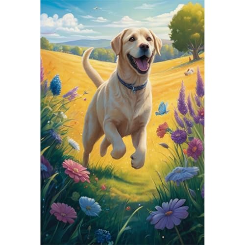 TWYYDP Puzzle 1000 Teile für Erwachsene Labrador Retriever Läuft Auf Dem Gras Holzpuzzle Spiele Zum Stressabbau TWYYDP Puzzle 1000 Teile für Erwachsene Labrador Retriever Läuft Auf Dem Gras Holzpuzzle Spiele Zum Stressabbau von TWYYDP
