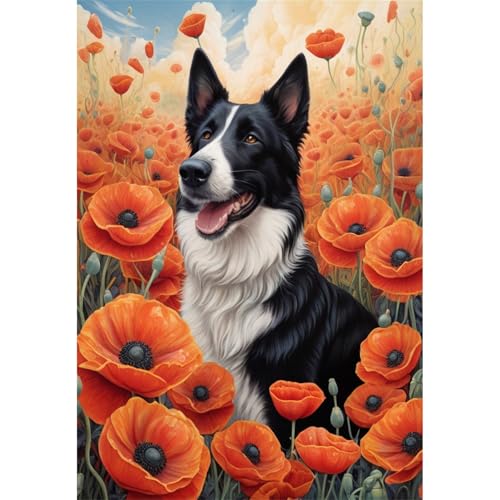 TWYYDP Puzzle 1000 Teile für Erwachsene Mohnblume und Border-Collie-Tier Holzpuzzle Spiele Zum Stressabbau TWYYDP Puzzle 1000 Teile für Erwachsene Mohnblume und Border-Collie-Tier Holzpuzzle Spiele Zum Stressabbau von TWYYDP