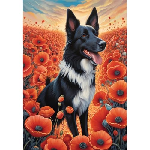 TWYYDP Puzzle 520 Teile für Erwachsene Border Collie Im Mohnfeld Holzpuzzle Lustige Spiele für Die Ganze Familie TWYYDP Puzzle 520 Teile für Erwachsene Border Collie Im Mohnfeld Holzpuzzle Lustige Spiele für Die Ganze Familie von TWYYDP