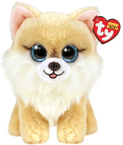 TY Honeycomb Korgi Beanie Boo Regulär | Beanie Baby Weiches Plüschtier | Sammlerstück Kuscheliger Stoffteddy von TY