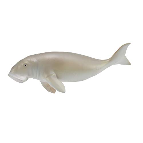 Tachan-Collecta-Dugon-L-88766 (90188766), Mehrfarbig (Collecta) von Collecta