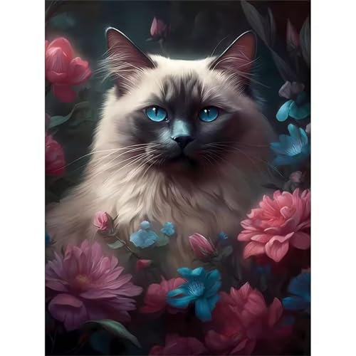 Nacht Katze Jigsaw Puzzles for Adults 300 Jigsaw Puzzles Adults,300 Pieces Puzzle Educational Challenge Toy Games Beautiful Home Decoration Puzzle Nacht Katze Jigsaw Puzzles for Adults 300 Jigsaw Puzzles Adults,300 Pieces Puzzle Educational Challenge Toy Games Beautiful Home Decoration Puzzle von Tainrun