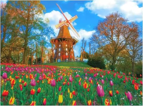 Park Tulips Jigsaw Puzzles for Adults 300 Jigsaw Puzzles Adults,300 Pieces Puzzle Educational Challenge Toy Games Beautiful Home Decoration Puzzle von Tainrun