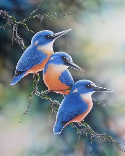 Puzzle 1000 Teile,Puzzles für Erwachsene AST Vögel,EIN Herausforderndes Rätsel,puzzlespiele für Die Ganze Familie,Geschenke für Erwachsene und Kinder Puzzle 1000 Teile,Puzzles für Erwachsene AST Vögel,EIN Herausforderndes Rätsel,puzzlespiele für Die Ganze Familie,Geschenke für Erwachsene und Kinder von Tainrun