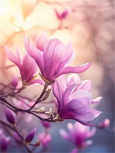 Puzzle 1000 Teile Erwachsene,Puzzle für Erwachsene und Kinder 1000 Teile,Gehirn-Herausforderung,Puzzles Pädagogisches Spiel,Puzzles mit Blumenzweig-Motiv Puzzle 1000 Teile Erwachsene,Puzzle für Erwachsene und Kinder 1000 Teile,Gehirn-Herausforderung,Puzzles Pädagogisches Spiel,Puzzles mit Blumenzweig-Motiv von Tainrun