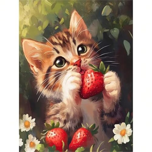 Puzzle 1000 Teile für Erwachsene, Gartenkatze Erdbeere 75x50cm Puzzle Erwachsene 1000 Teile Lernspiel Herausforderung Spielzeug, Geschicklichkeitsspiel für die ganze Familie Puzzle 1000 Teile für Erwachsene, Gartenkatze Erdbeere 75x50cm Puzzle Erwachsene 1000 Teile Lernspiel Herausforderung Spielzeug, Geschicklichkeitsspiel für die ganze Familie von Tainrun