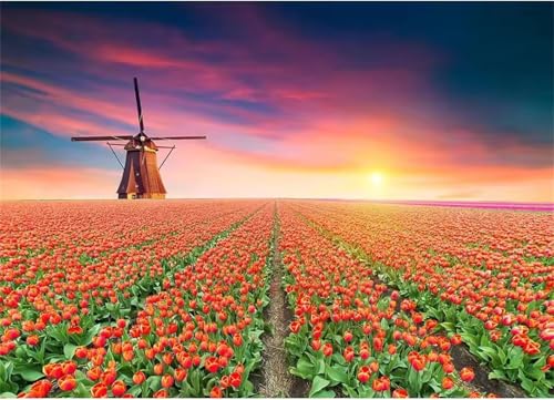 Puzzle 1200 Teile Erwachsene,Puzzle für Erwachsene und Kinder 1200 Teile,Gehirn-Herausforderung,Puzzles Pädagogisches Spiel,Puzzles mit Windmühlenstulpen-Motiv von Tainrun