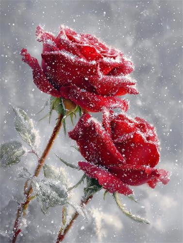 Puzzle 30 Teile für Erwachsene, EIN Herausforderndes Rätsel, Kreative Unterhaltung Puzzles Wunderschönes Dekoration Puzzle Geschenke, Thema:Rote Rosen Schnee Puzzle 30 Teile für Erwachsene, EIN Herausforderndes Rätsel, Kreative Unterhaltung Puzzles Wunderschönes Dekoration Puzzle Geschenke, Thema:Rote Rosen Schnee von Tainrun
